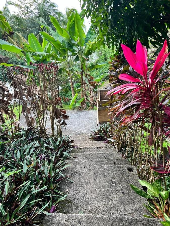 Hotel Casa Del Vega A Little Peace Of Heaven à Castries Extérieur photo