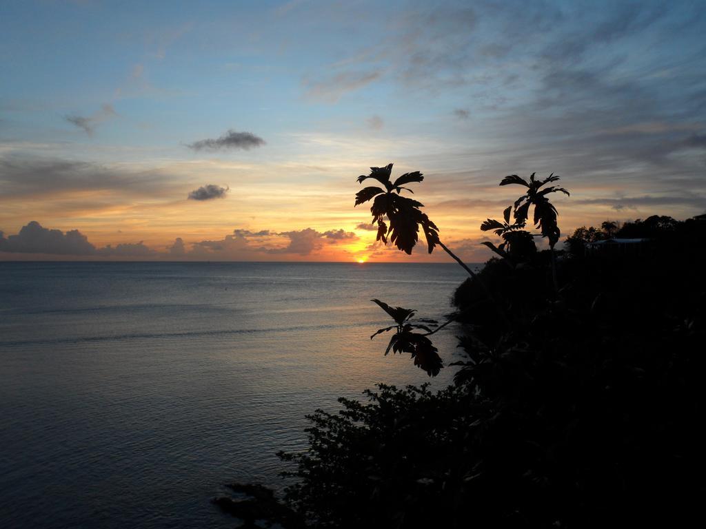 Hotel Casa Del Vega A Little Peace Of Heaven à Castries Chambre photo