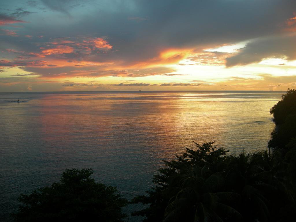 Hotel Casa Del Vega A Little Peace Of Heaven à Castries Chambre photo
