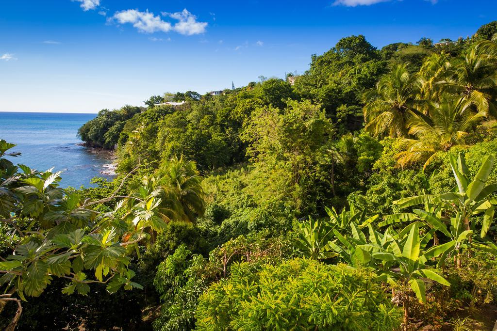 Hotel Casa Del Vega A Little Peace Of Heaven à Castries Extérieur photo