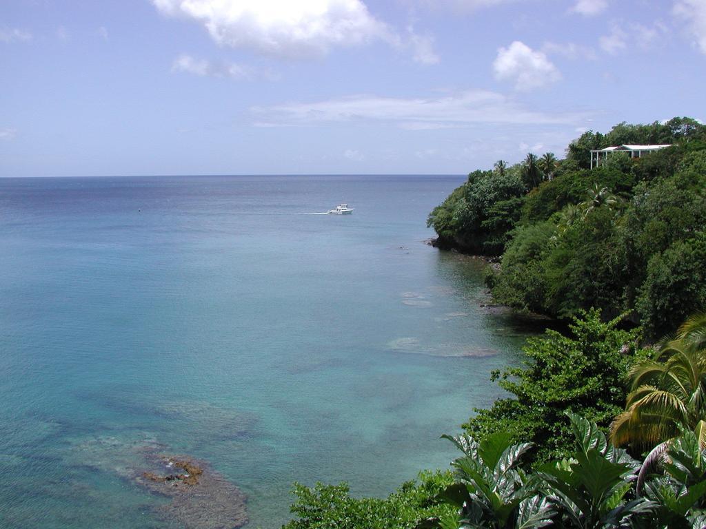 Hotel Casa Del Vega A Little Peace Of Heaven à Castries Chambre photo