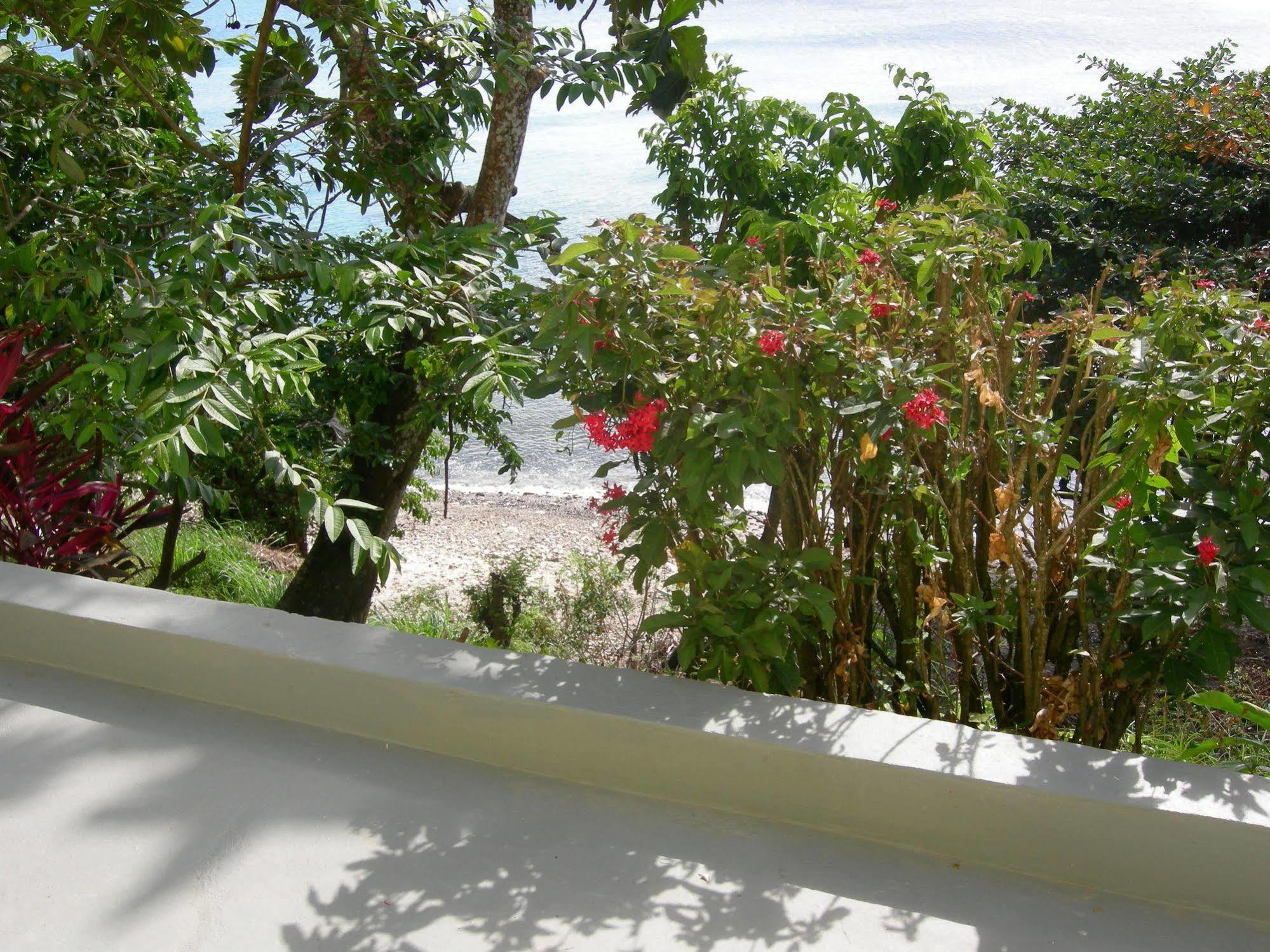Hotel Casa Del Vega A Little Peace Of Heaven à Castries Extérieur photo